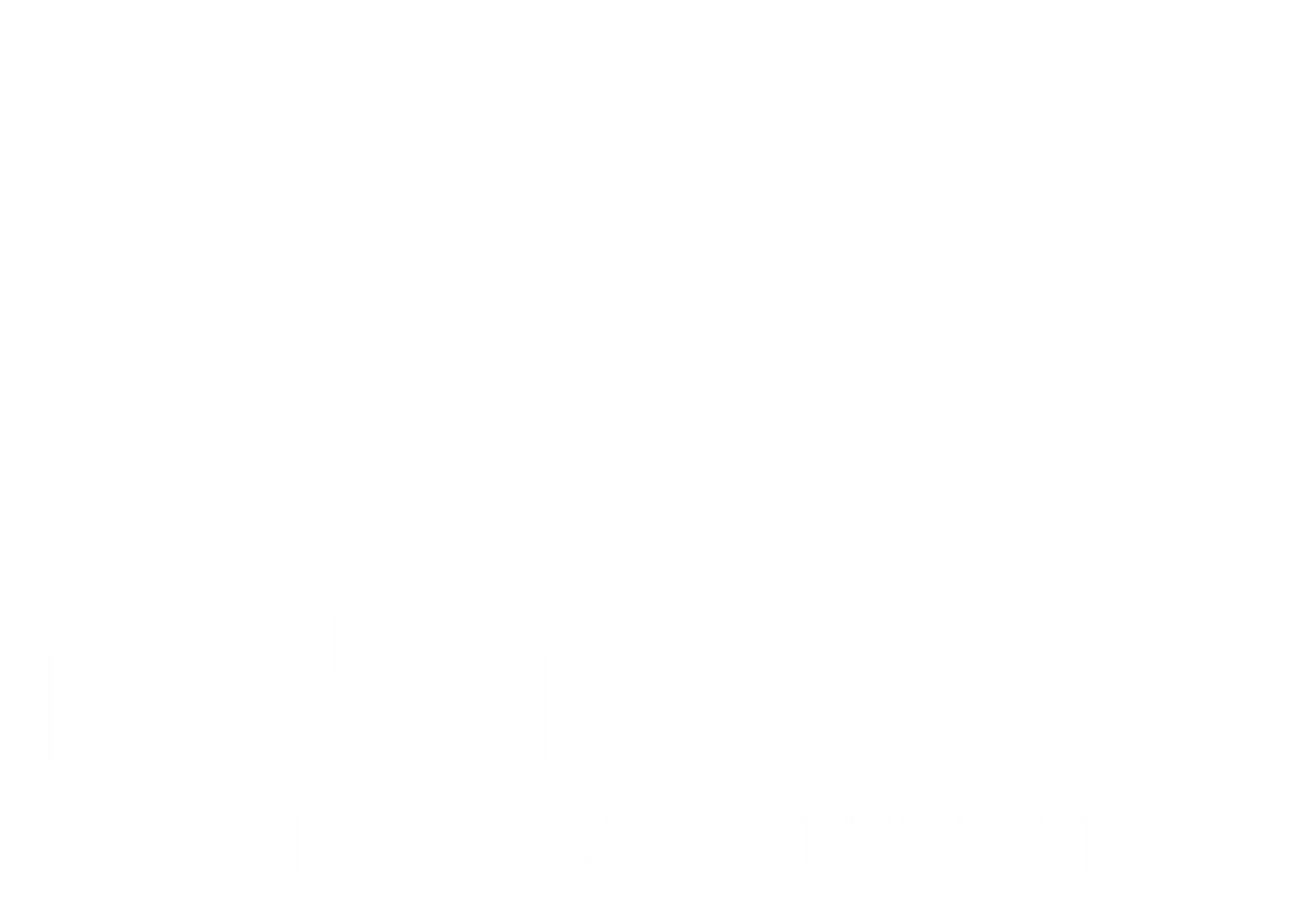 Rebel Commerce Solutions